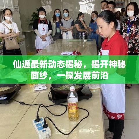 仙通最新動態(tài)揭秘，揭開神秘面紗，一探發(fā)展前沿