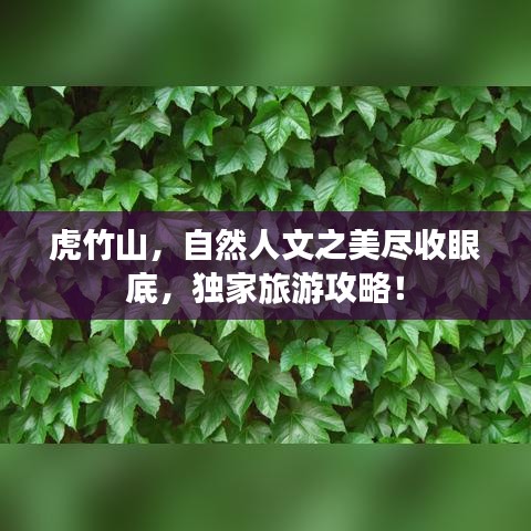 虎竹山，自然人文之美盡收眼底，獨家旅游攻略！