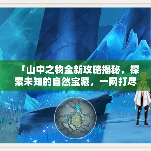 「山中之物全新攻略揭秘，探索未知的自然寶藏，一網(wǎng)打盡！」