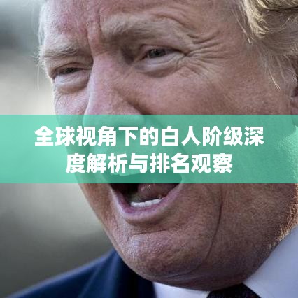 全球視角下的白人階級(jí)深度解析與排名觀察