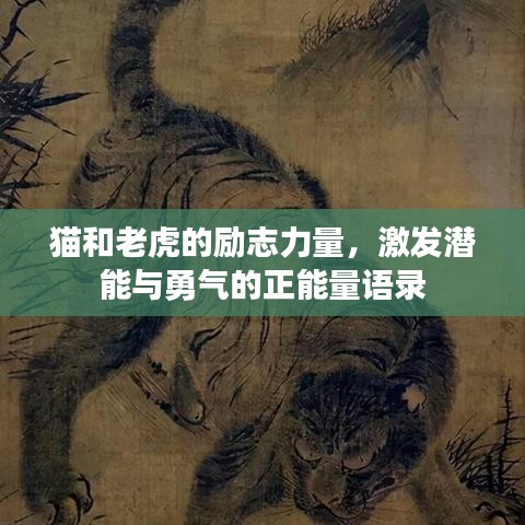 貓和老虎的勵志力量，激發(fā)潛能與勇氣的正能量語錄