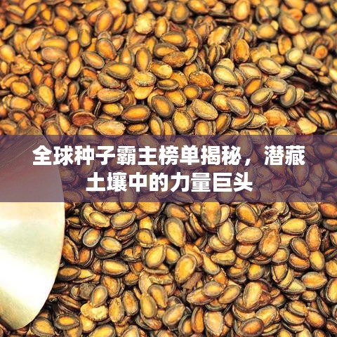 全球種子霸主榜單揭秘，潛藏土壤中的力量巨頭