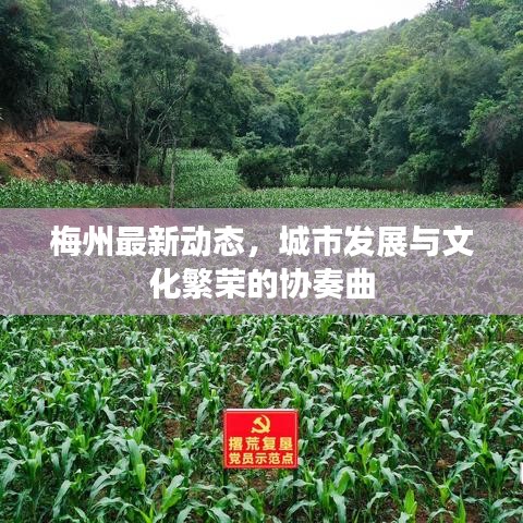梅州最新動(dòng)態(tài)，城市發(fā)展與文化繁榮的協(xié)奏曲