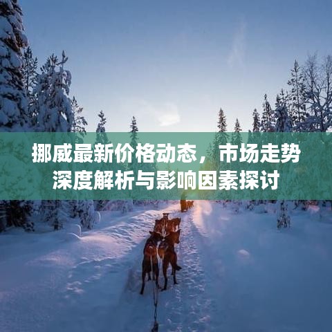 挪威最新價(jià)格動(dòng)態(tài)，市場(chǎng)走勢(shì)深度解析與影響因素探討