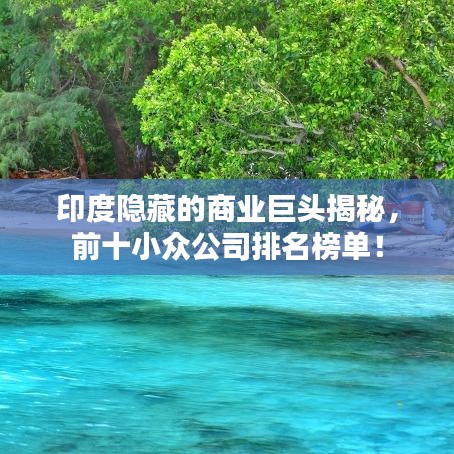 印度隱藏的商業(yè)巨頭揭秘，前十小眾公司排名榜單！
