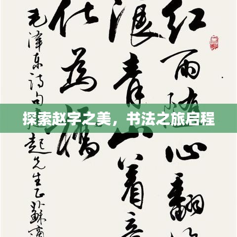 探索趙字之美，書法之旅啟程