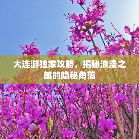 大連游獨(dú)家攻略，揭秘浪漫之都的隱秘角落
