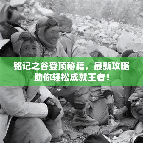 銘記之谷登頂秘籍，最新攻略助你輕松成就王者！