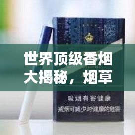 世界頂級香煙大揭秘，煙草世界的秘密魅力榜單！