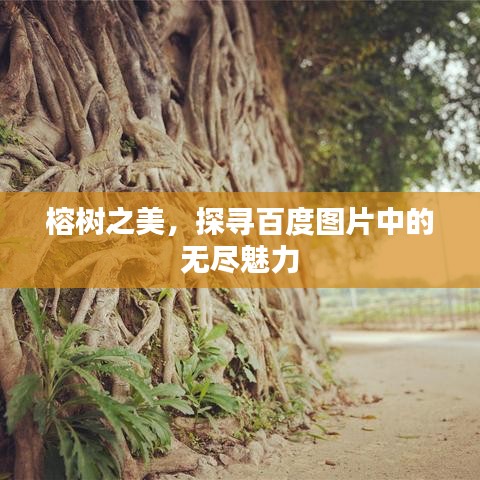 綱舉目張 第2頁