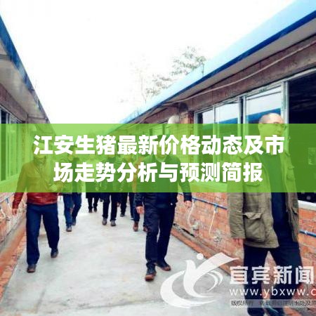 江安生豬最新價格動態(tài)及市場走勢分析與預測簡報