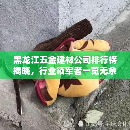 黑龍江五金建材公司排行榜揭曉，行業(yè)領(lǐng)軍者一覽無(wú)余