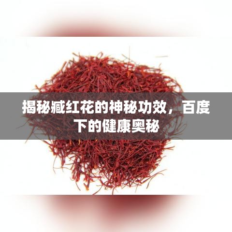 揭秘臧紅花的神秘功效，百度下的健康奧秘