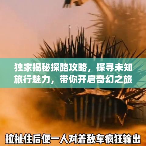獨(dú)家揭秘探路攻略，探尋未知旅行魅力，帶你開啟奇幻之旅！