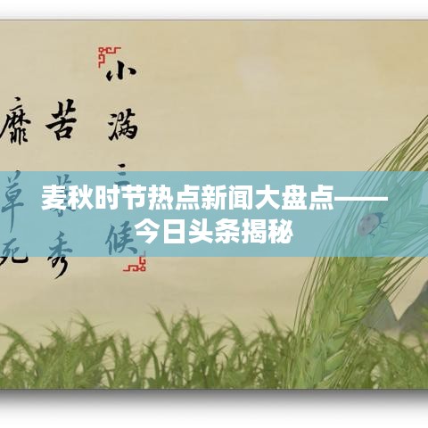 麥秋時(shí)節(jié)熱點(diǎn)新聞大盤(pán)點(diǎn)——今日頭條揭秘