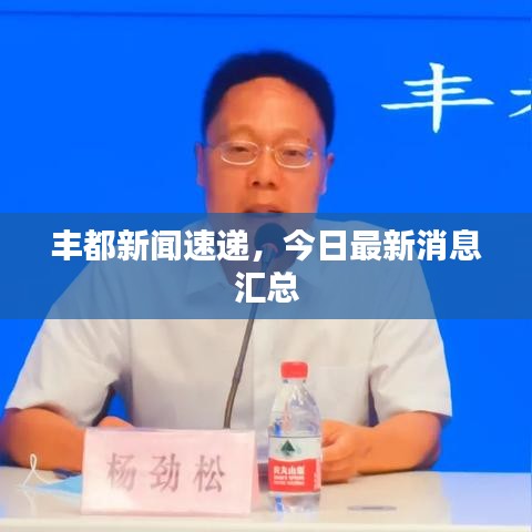 豐都新聞速遞，今日最新消息匯總