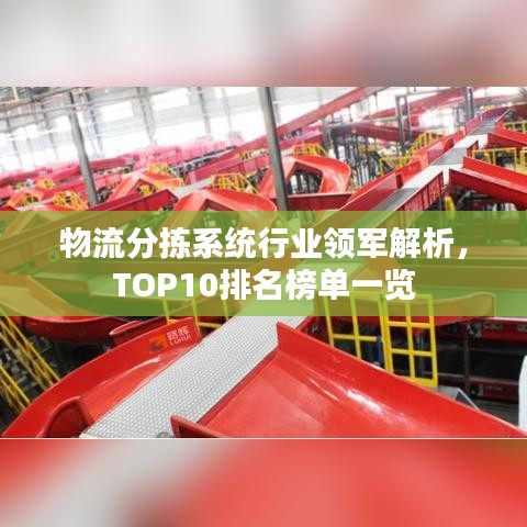 物流分揀系統(tǒng)行業(yè)領(lǐng)軍解析，TOP10排名榜單一覽