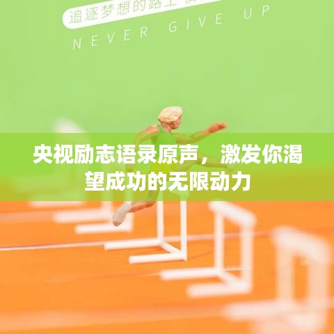 央視勵(lì)志語錄原聲，激發(fā)你渴望成功的無限動(dòng)力