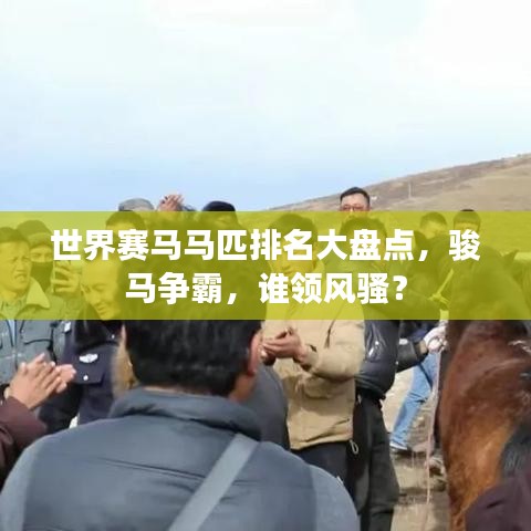 世界賽馬馬匹排名大盤點(diǎn)，駿馬爭霸，誰領(lǐng)風(fēng)騷？