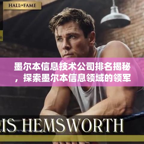 墨爾本信息技術(shù)公司排名揭秘，探索墨爾本信息領(lǐng)域的領(lǐng)軍者