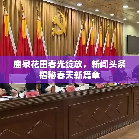 鹿泉花田春光綻放，新聞頭條揭秘春天新篇章