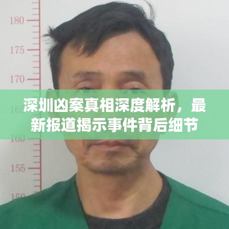 深圳兇案真相深度解析，最新報道揭示事件背后細(xì)節(jié)