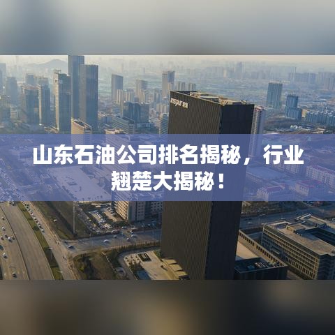 山東石油公司排名揭秘，行業(yè)翹楚大揭秘！