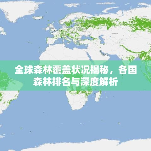 全球森林覆蓋狀況揭秘，各國森林排名與深度解析