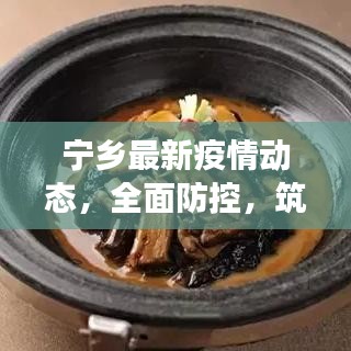 寧鄉(xiāng)最新疫情動(dòng)態(tài)，全面防控，筑牢健康防線