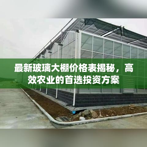 最新玻璃大棚價格表揭秘，高效農(nóng)業(yè)的首選投資方案