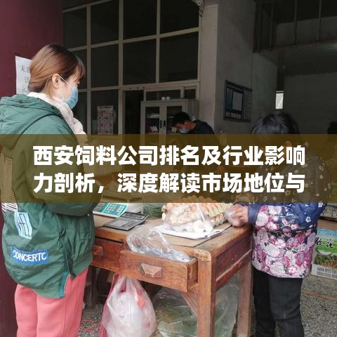 西安飼料公司排名及行業(yè)影響力剖析，深度解讀市場地位與影響力