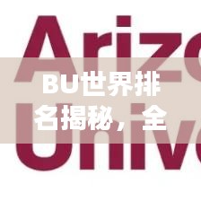 BU世界排名揭秘，全球影響力與地位的探究