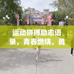 運動拼搏勵志語錄，青春燃燒，勇往直前！