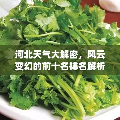 河北天氣大解密，風(fēng)云變幻的前十名排名解析