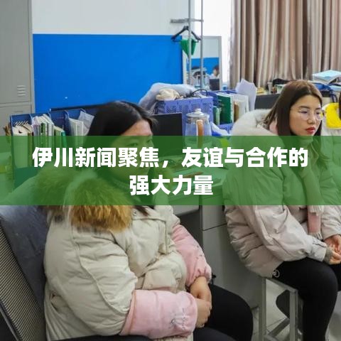 伊川新聞聚焦，友誼與合作的強(qiáng)大力量