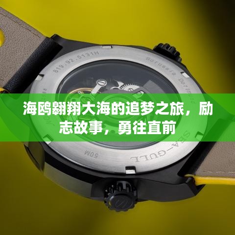 海鷗翱翔大海的追夢之旅，勵志故事，勇往直前