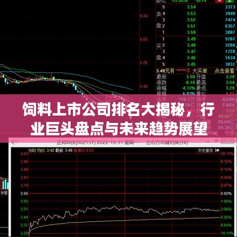 飼料上市公司排名大揭秘，行業(yè)巨頭盤點(diǎn)與未來趨勢展望