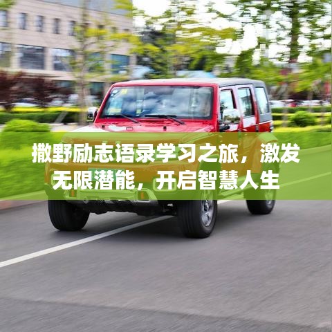 撒野勵志語錄學(xué)習(xí)之旅，激發(fā)無限潛能，開啟智慧人生