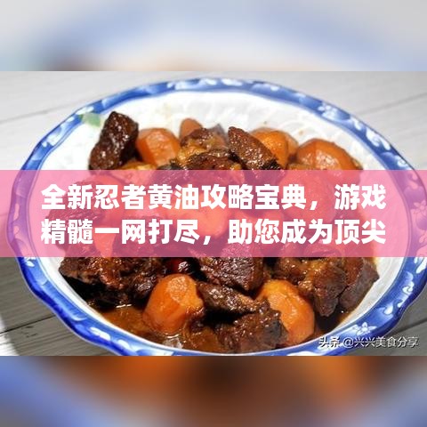 全新忍者黃油攻略寶典，游戲精髓一網(wǎng)打盡，助您成為頂尖高手！