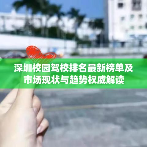 深圳校園駕校排名最新榜單及市場(chǎng)現(xiàn)狀與趨勢(shì)權(quán)威解讀