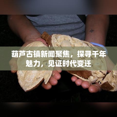 葫蘆古鎮(zhèn)新聞聚焦，探尋千年魅力，見證時(shí)代變遷