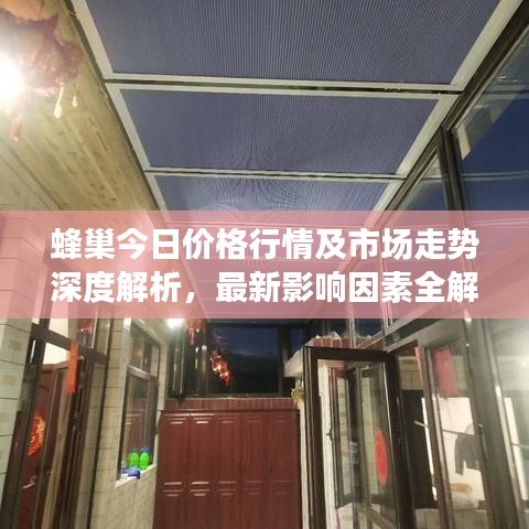 蜂巢今日價(jià)格行情及市場(chǎng)走勢(shì)深度解析，最新影響因素全解析