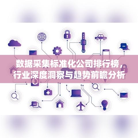 數(shù)據(jù)采集標(biāo)準(zhǔn)化公司排行榜，行業(yè)深度洞察與趨勢(shì)前瞻分析