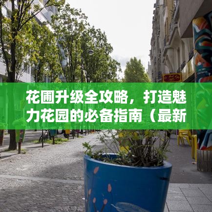 花圃升級全攻略，打造魅力花園的必備指南（最新）