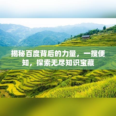 揭秘百度背后的力量，一搜便知，探索無(wú)盡知識(shí)寶藏
