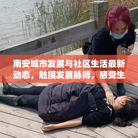 南安城市發(fā)展與社區(qū)生活最新動態(tài)，觸摸發(fā)展脈搏，感受生活色彩