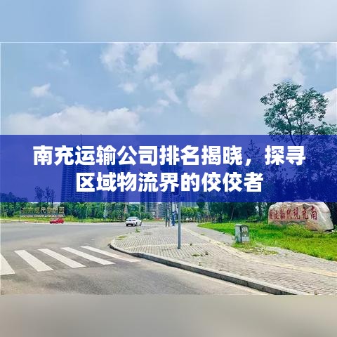 南充運(yùn)輸公司排名揭曉，探尋區(qū)域物流界的佼佼者