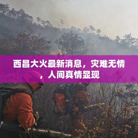 西昌大火最新消息，災(zāi)難無情，人間真情顯現(xiàn)