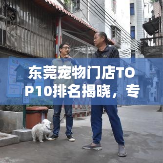 東莞寵物門店TOP10排名揭曉，專業(yè)與貼心并存的寵物服務體驗