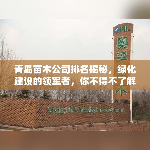 青島苗木公司排名揭秘，綠化建設(shè)的領(lǐng)軍者，你不得不了解的佼佼者！